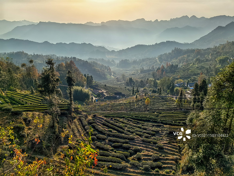 湖北宜昌三峡人家景区-清江画廊三峡水坝邮轮图片素材