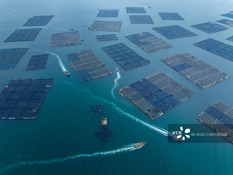 平潭流水镇鲍鱼养殖产业-拍摄于平潭流水镇图片素材