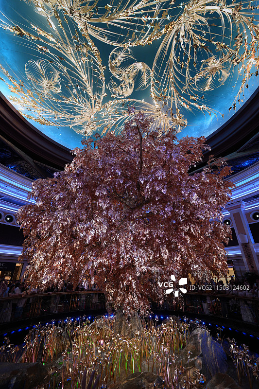 澳门永利发财树图片素材