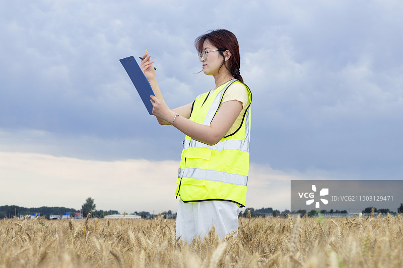 麦田中穿着工作防护服女性工作人员手持记事本记录图片素材
