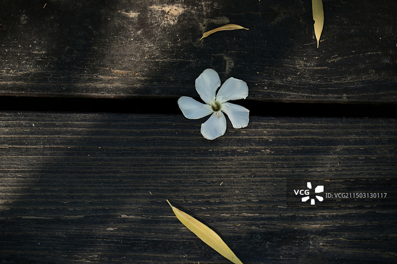 夏日光影图片素材