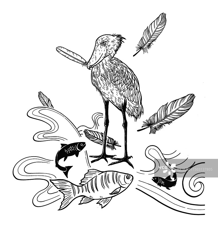 黑白插画线描鲸头鹳吃鱼动物生态鱼类图片素材