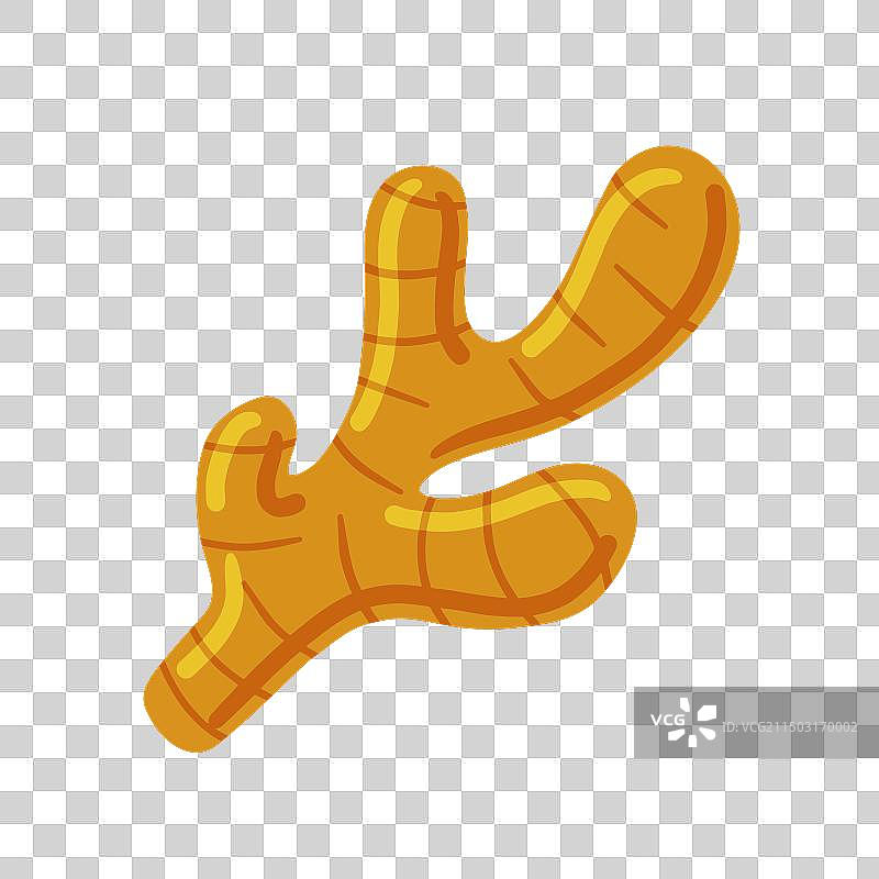 辛辣食材姜根图标图片素材