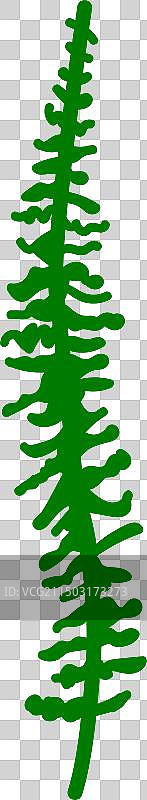 生态热带异域树叶图片素材