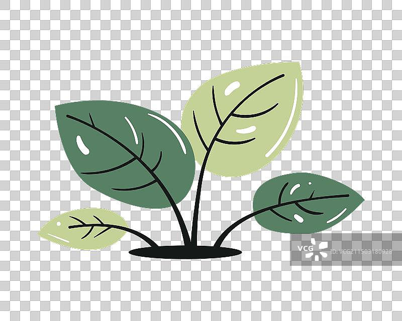 带叶嫩芽图标，自然植物符号图片素材