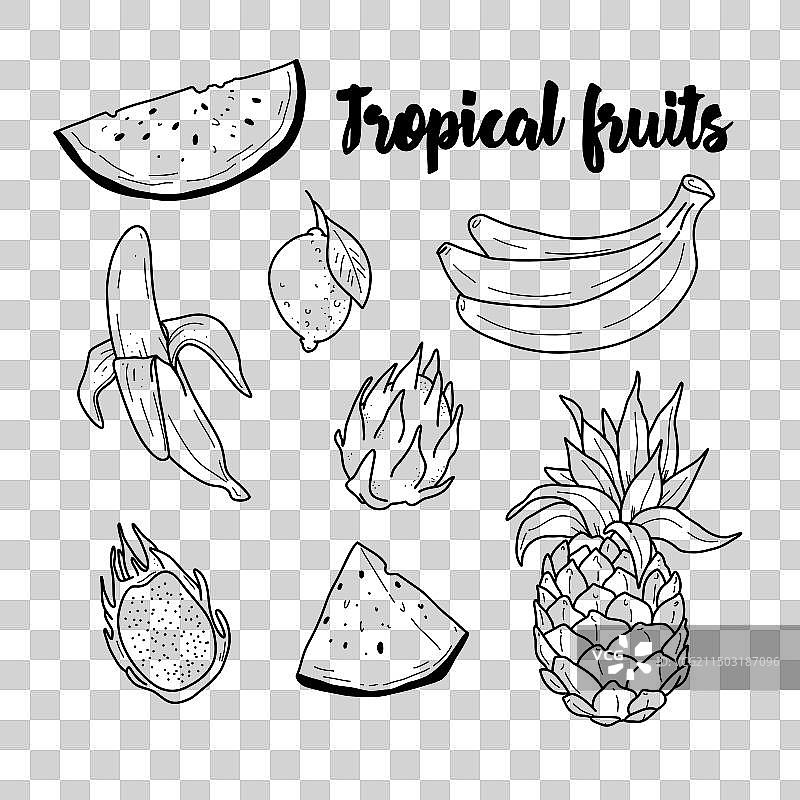 热带水果涂鸦图片素材
