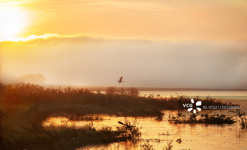 吉林桃山林场图片素材