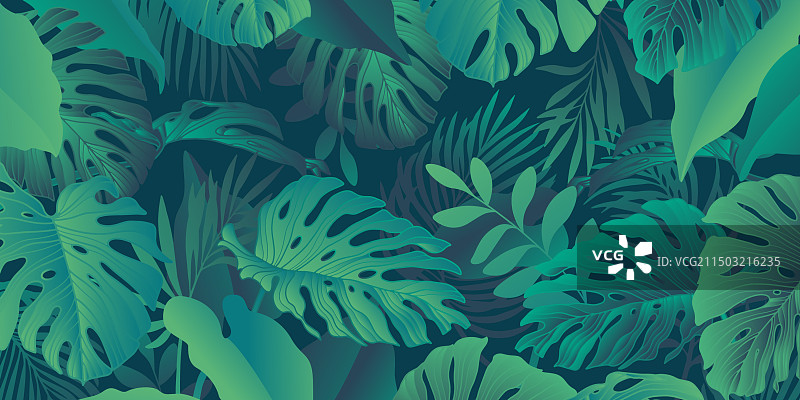 热带风情奢华背景卡片图片素材