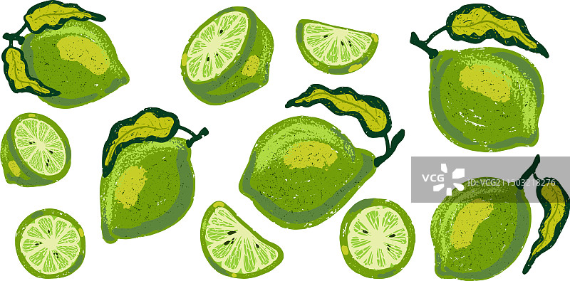 带树叶纹理的青柠素材图片素材