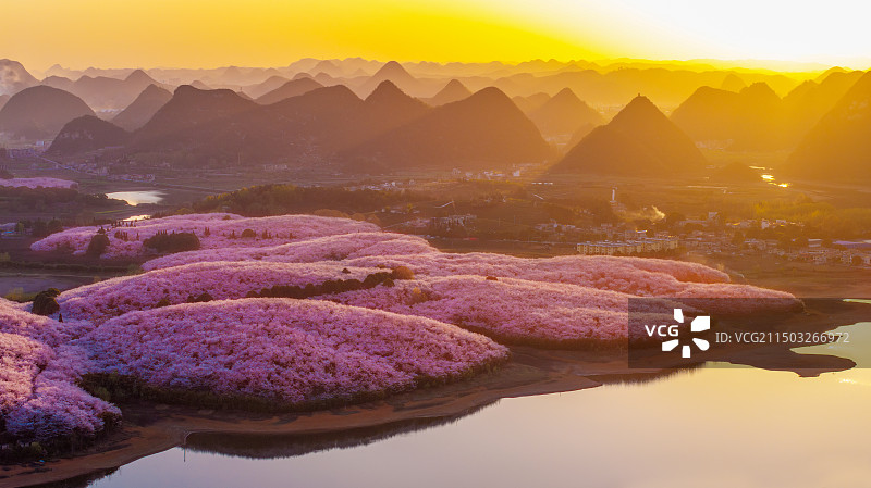 《贵安新区樱花园》图片素材