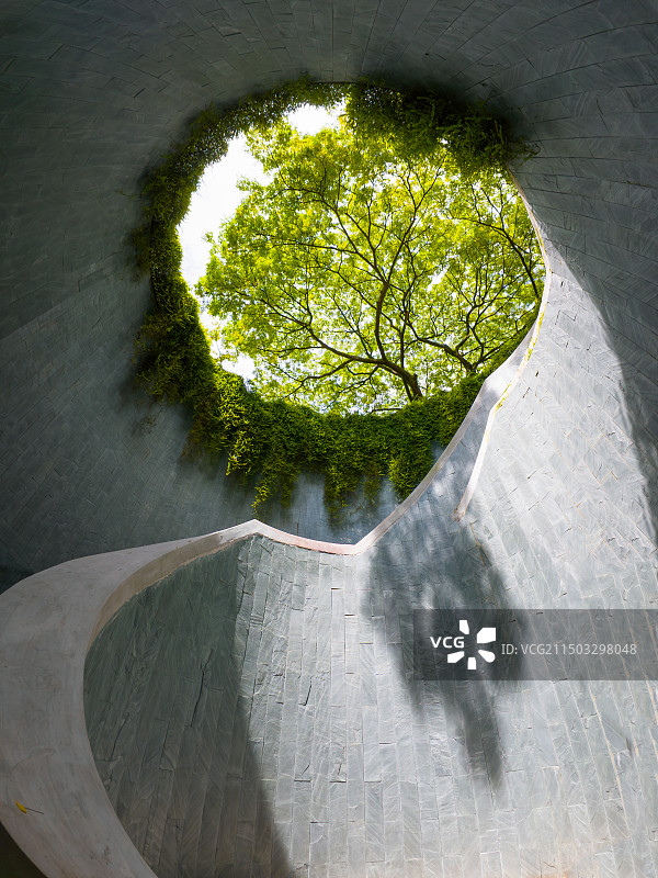 新加坡福康宁公园树洞 fort canning park图片素材