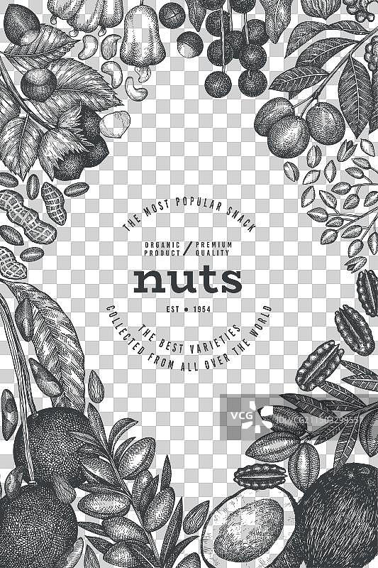 手绘坚果树枝和果仁模板图片素材