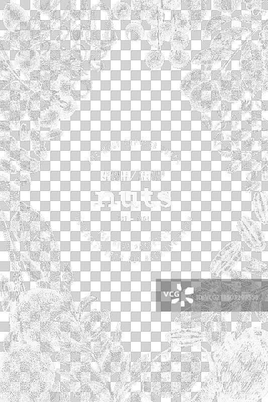 手绘坚果树枝和果仁模板图片素材