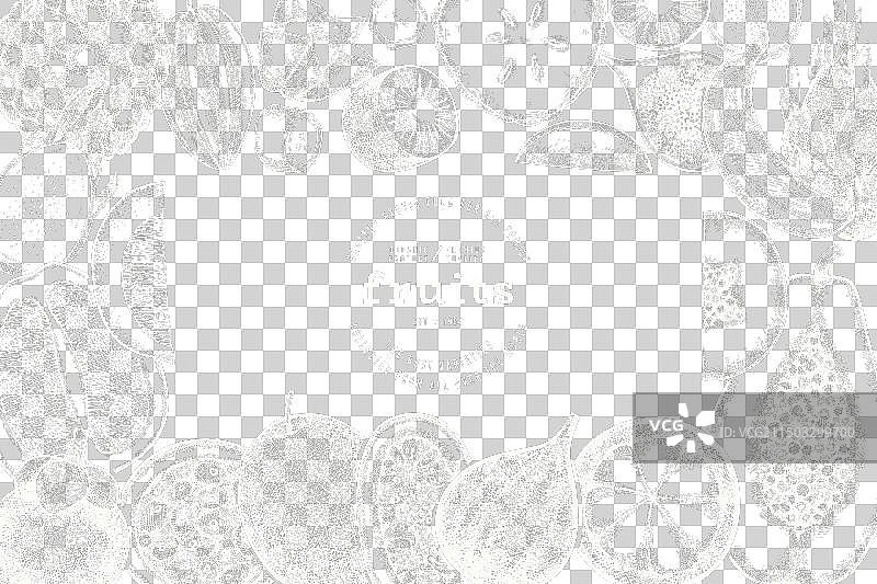 手绘异域热带水果设计模板图片素材