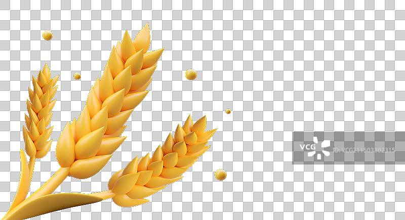 蓝色背景上的金色麦穗图片素材