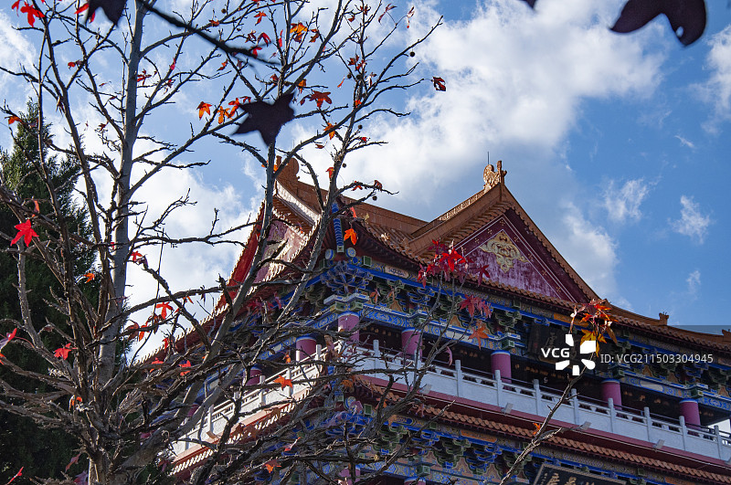 红叶与寺宇——大理崇圣寺三塔公园景色图片素材
