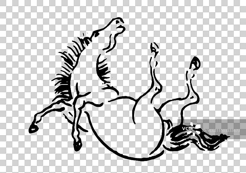 马，毛驴，骡子，驴，线描，黑白，中国风，古典风格，插画，设计，元素。图片素材