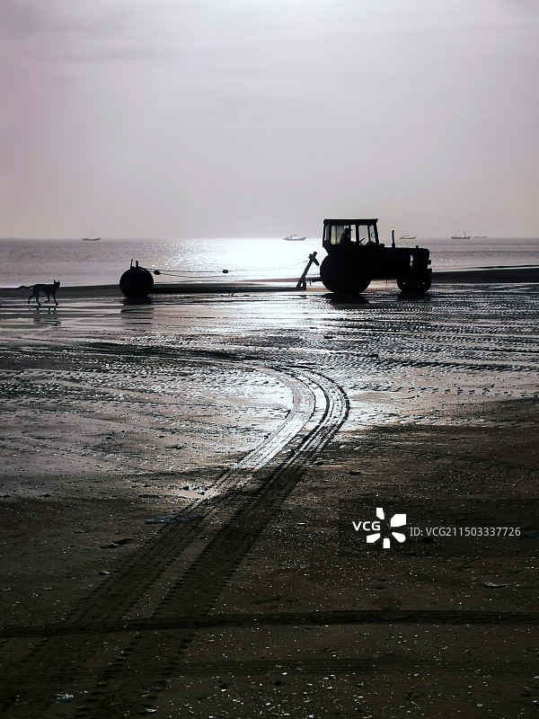 清晨渔港的海滩景色（小东港）图片素材