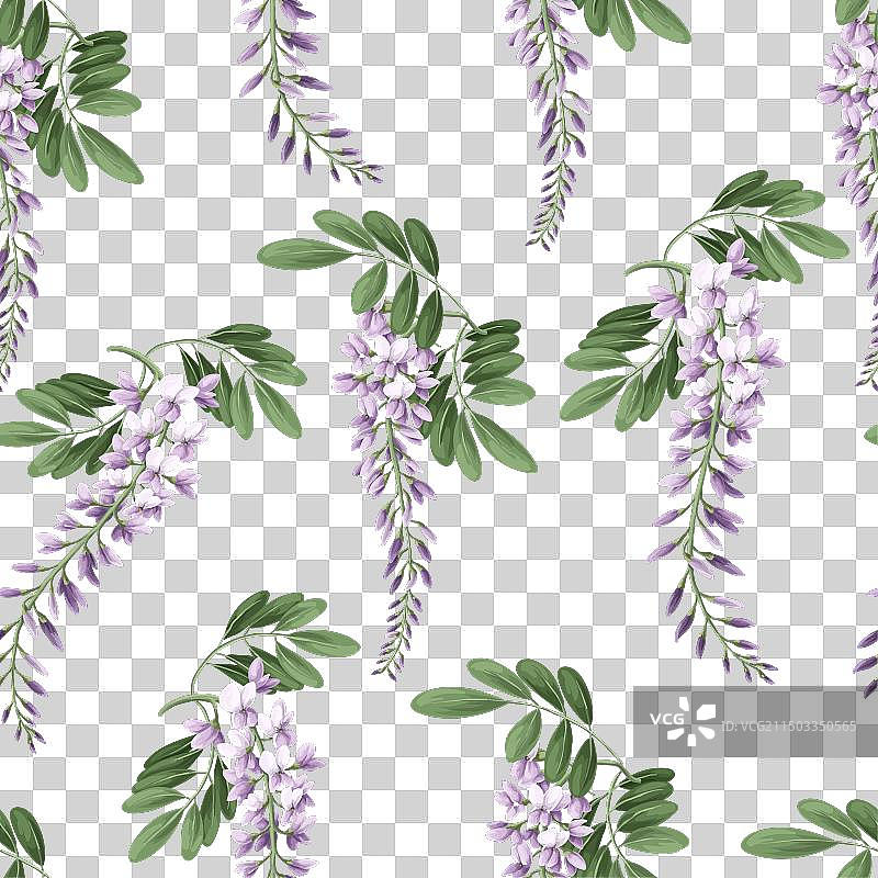 金合欢花叶无缝图案图片素材