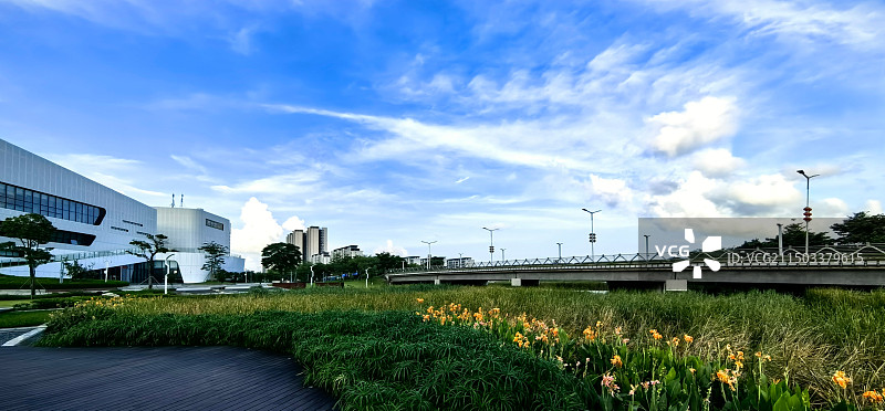 金湾华发商都周边的绿化带图片素材