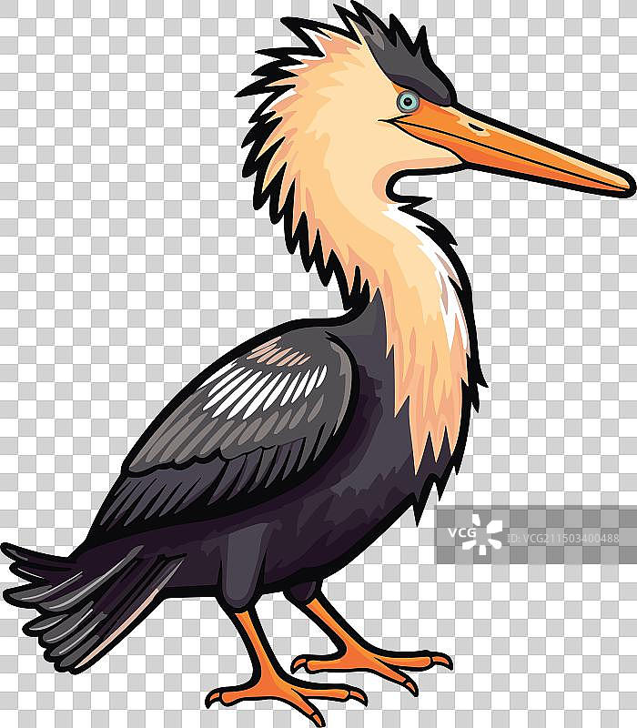 蛇鹈可爱卡通剪贴画图片素材