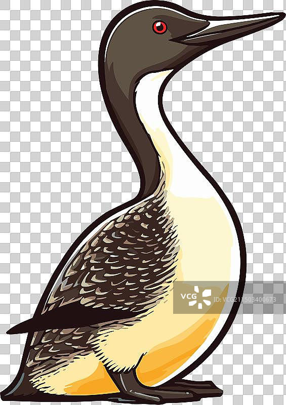 卡通普通潜鸟剪贴画图片素材