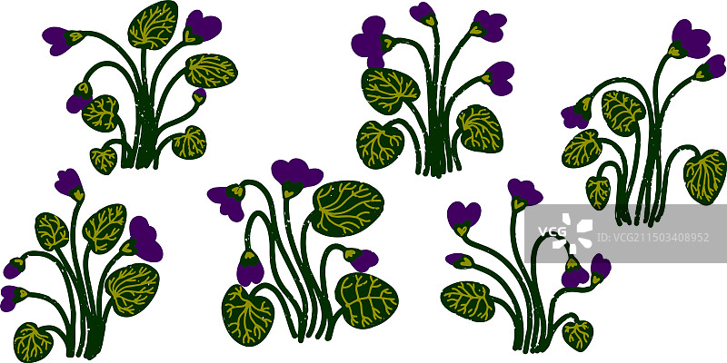 卡通紫罗兰灌木与树叶和花朵图片素材
