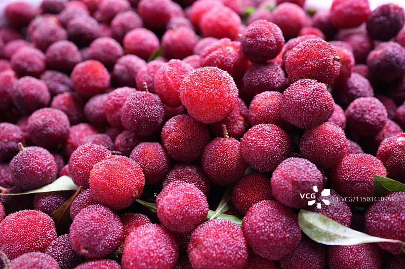 新鲜的杨梅图片素材