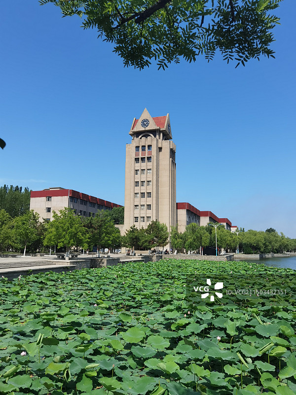 山东省烟台市莱山区烟台大学北区钟楼和三元湖荷花图片素材