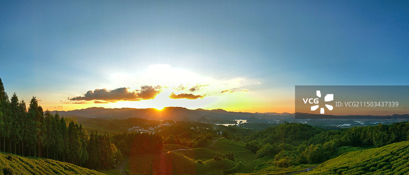 贵阳神鹊茶场图片素材