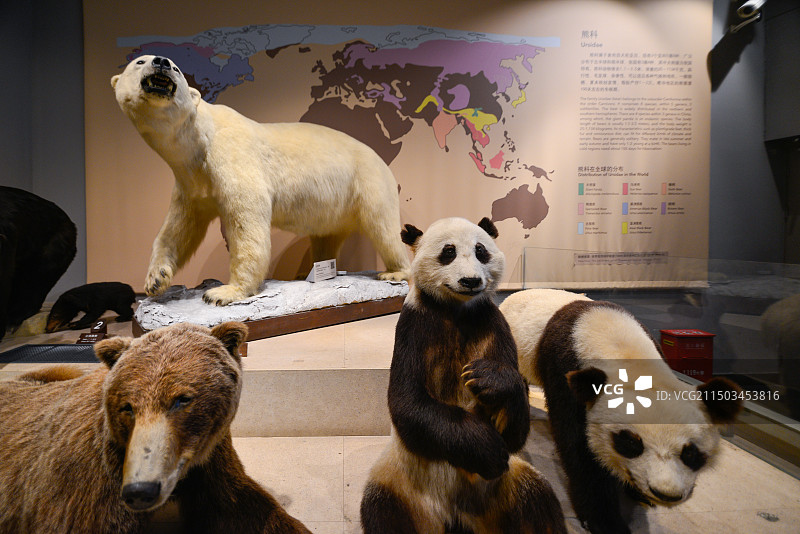 上海自然博物馆图片素材