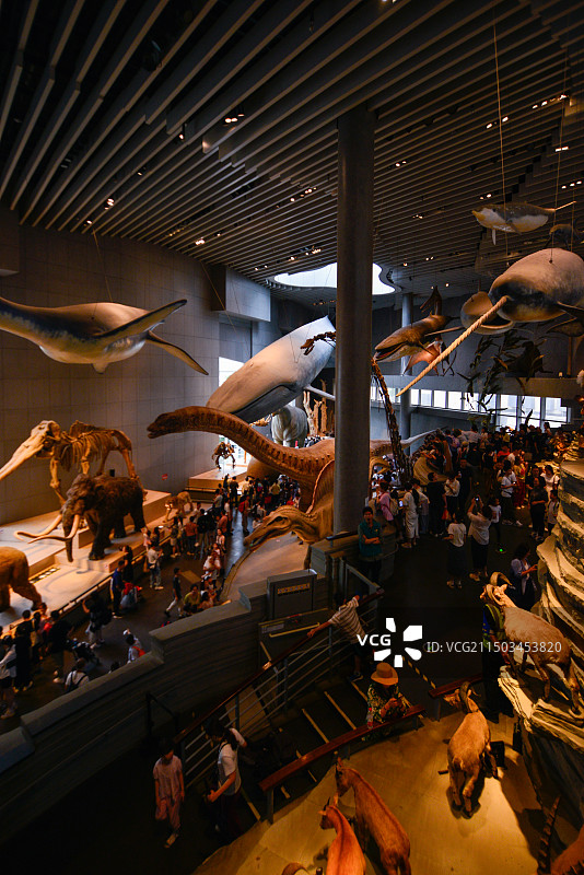 上海自然博物馆图片素材