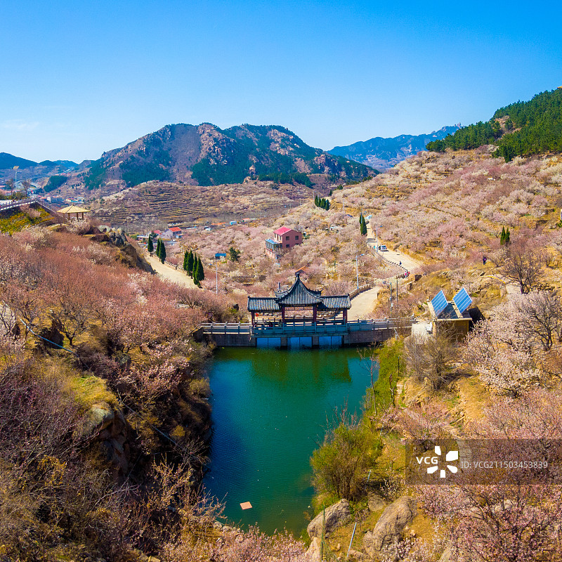 青岛市崂山区大崂樱桃谷图片素材