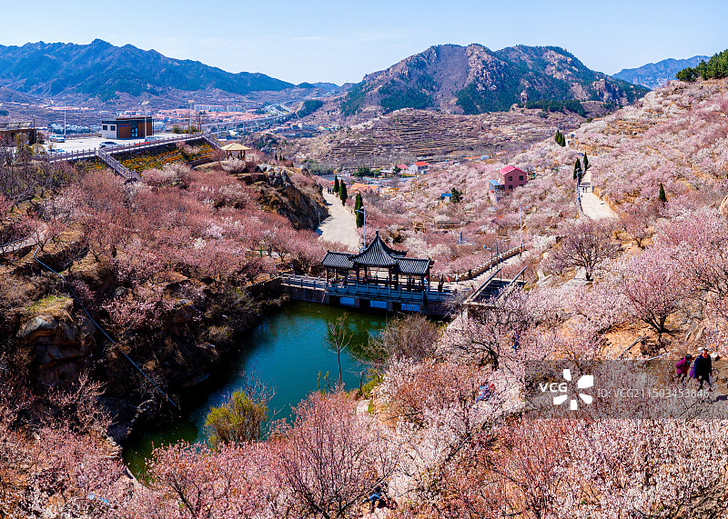 青岛市崂山区大崂樱桃谷图片素材