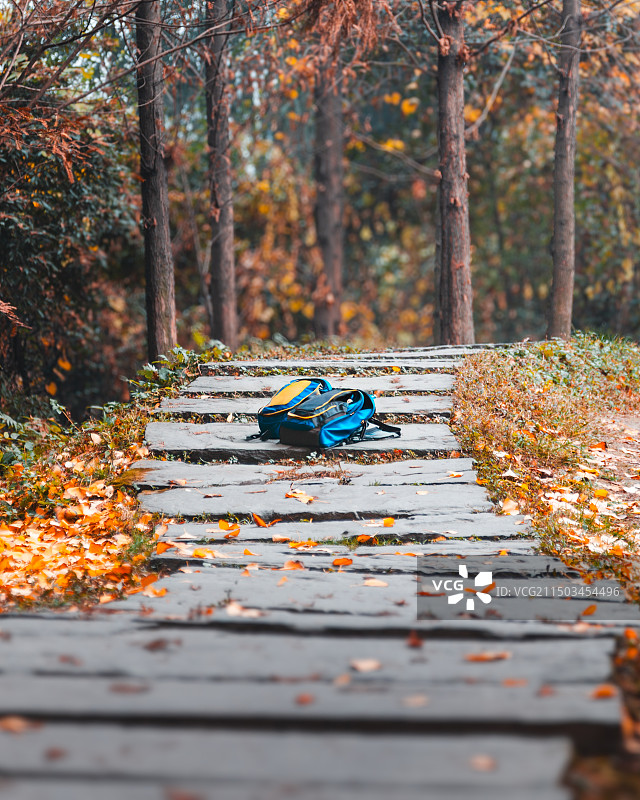 秋天公园里的树木和植物，小路上堆放着附近玩耍儿童的书包图片素材