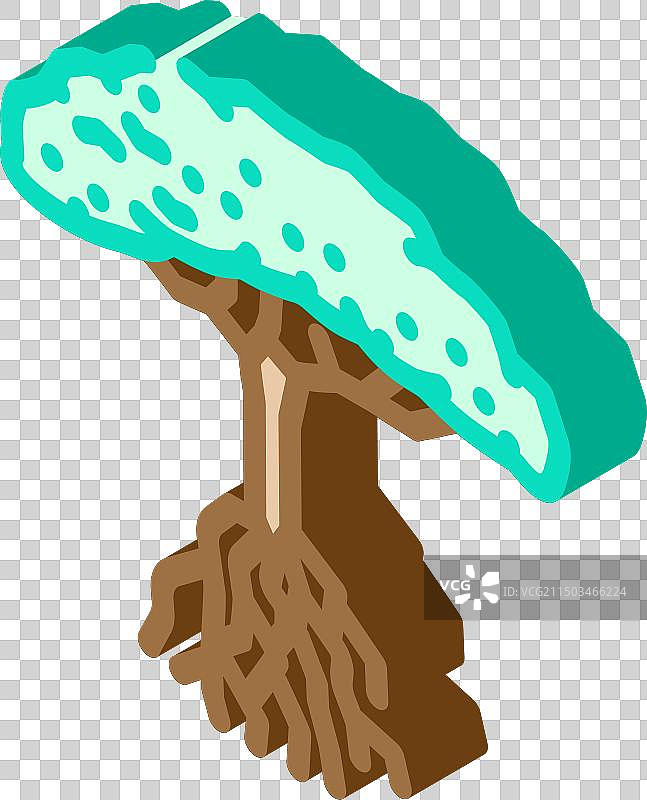 红树林2.5D图标图片素材