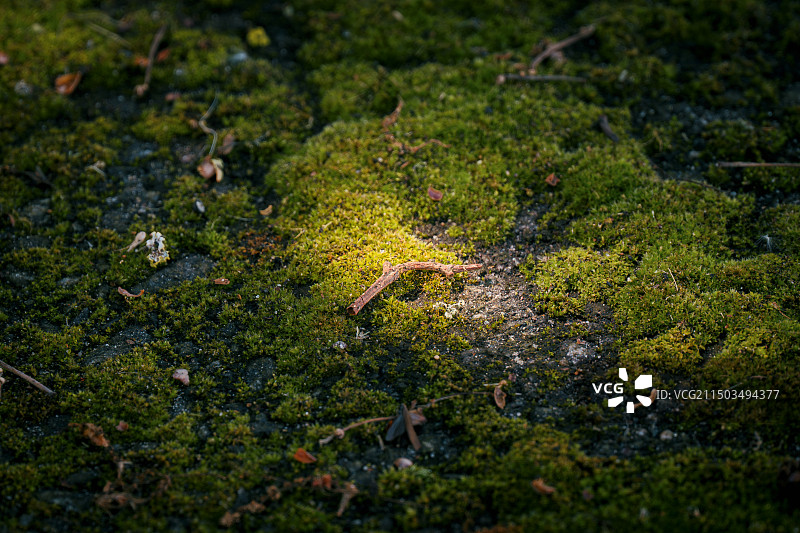 微观世界的一角图片素材