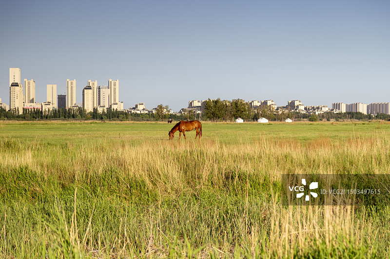 赛汗塔拉城中草原图片素材