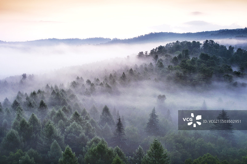 晨雾中的小兴安岭图片素材