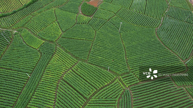 田园风光航拍图片素材