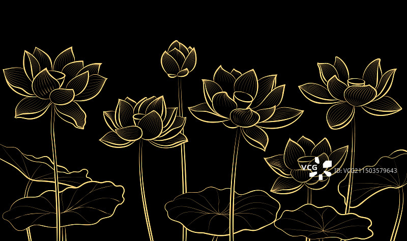 黑色背景上的金色线性莲花插图图片素材