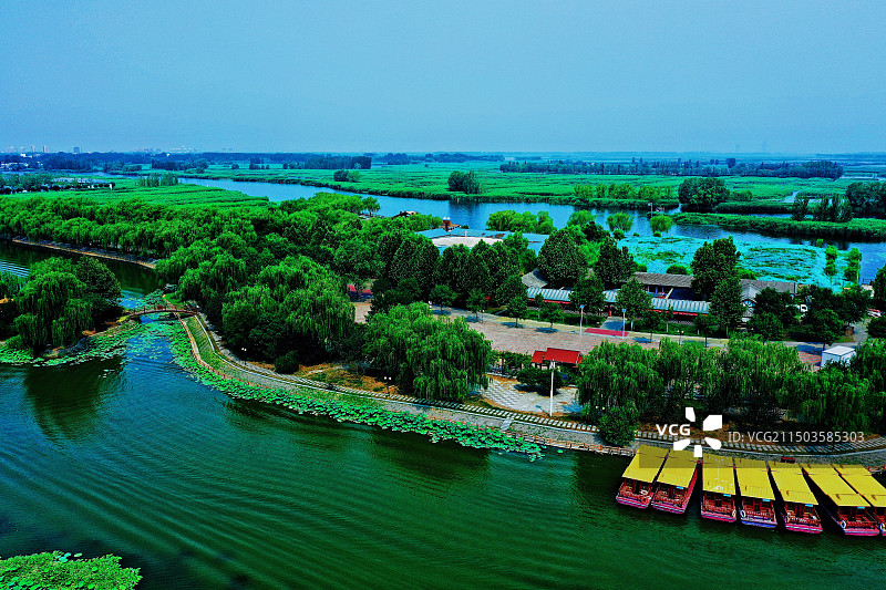 荷花大观园图片素材