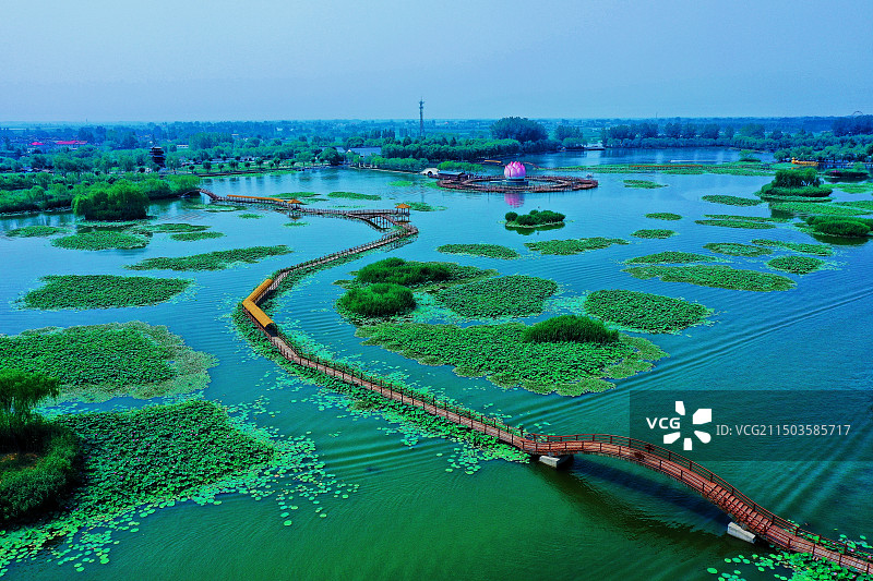 荷花大观园图片素材