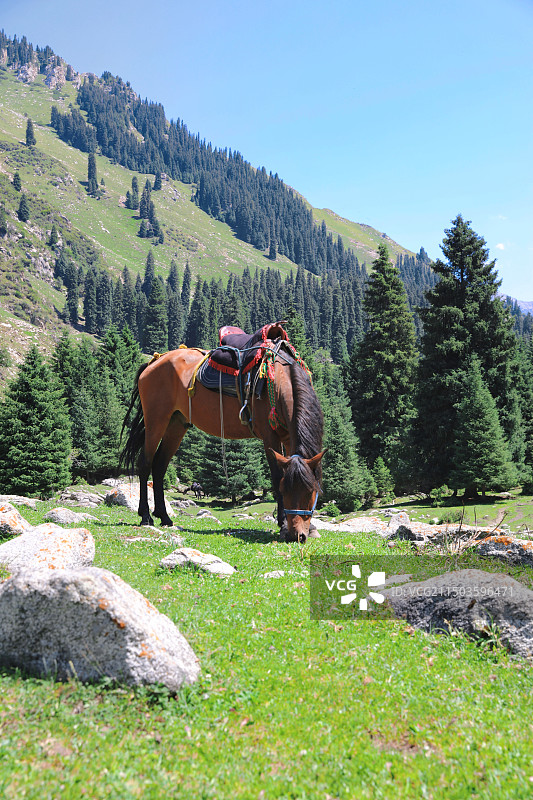 伊犁山川之琼库什台图片素材