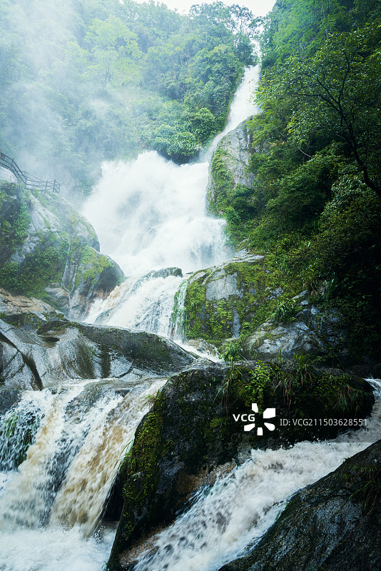 金竹飞瀑图片素材