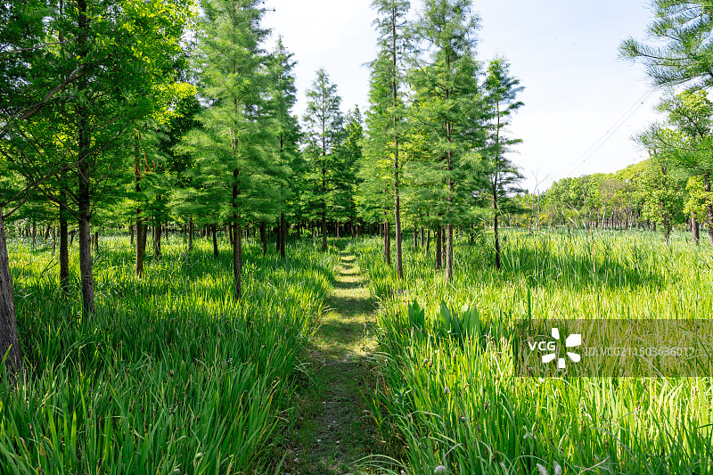 嘉北郊野公园图片素材