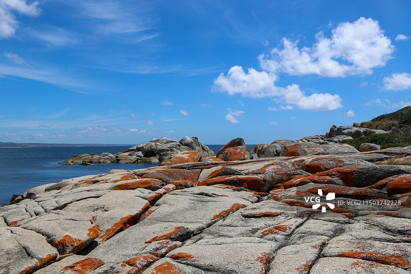 火焰湾，塔斯马尼亚，澳大利亚图片素材