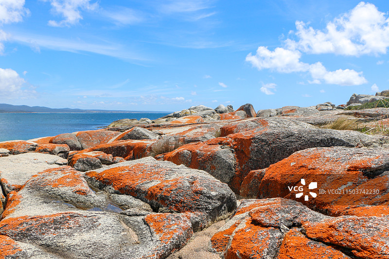 火焰湾，塔斯马尼亚，澳大利亚图片素材