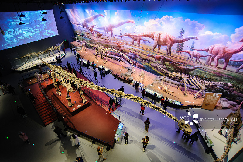 成都自然博物馆的恐龙化石图片素材