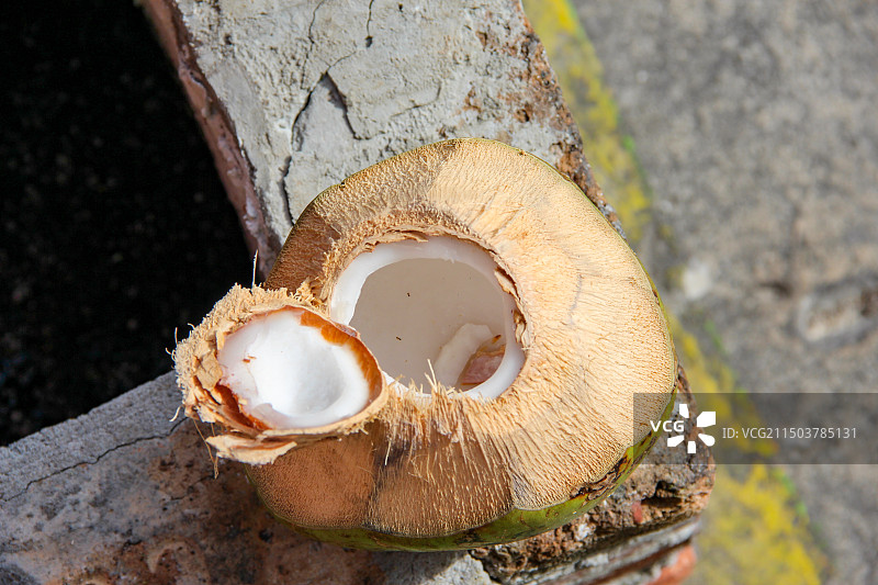 椰子特写图片素材